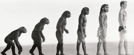 El Origen De La Vida Historia De La Evolucion Biológica